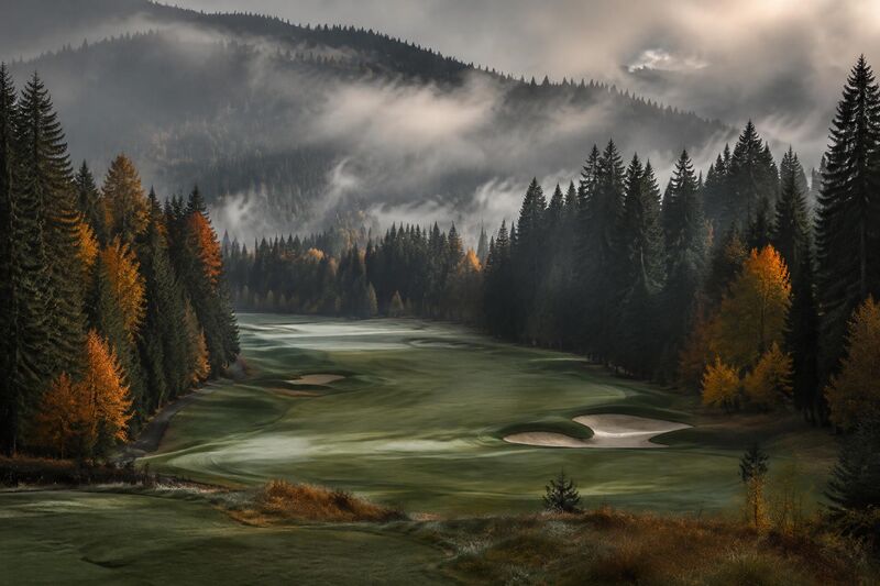 Beispielplatz Schwarzwald – Morgennebel zwischen Tannen